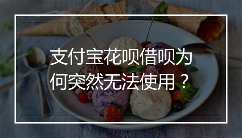 支付宝花呗借呗为何突然无法使用？