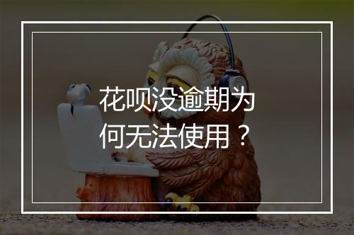 花呗没逾期为何无法使用？