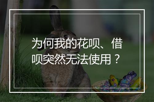 为何我的花呗、借呗突然无法使用？