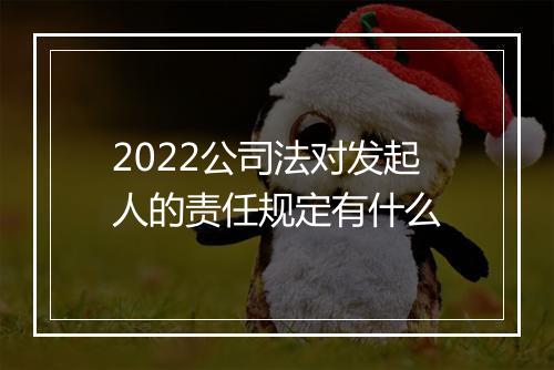 2022公司法对发起人的责任规定有什么