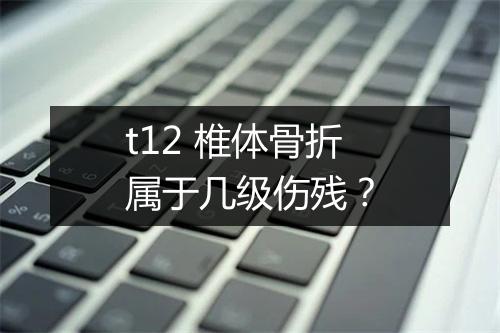 t12 椎体骨折属于几级伤残？