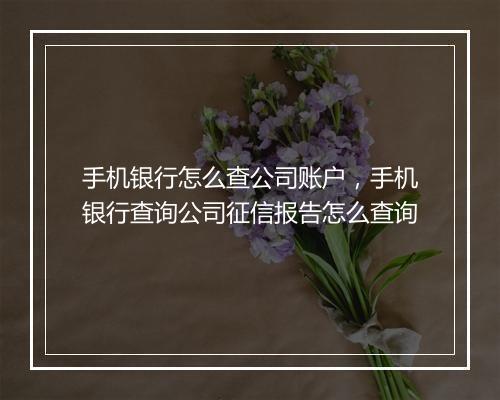 手机银行怎么查公司账户，手机银行查询公司征信报告怎么查询