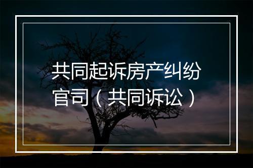 共同起诉房产纠纷官司（共同诉讼）