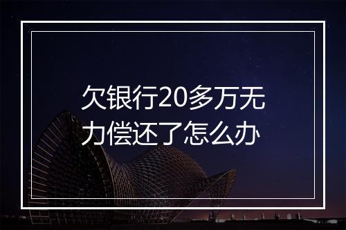 欠银行20多万无力偿还了怎么办