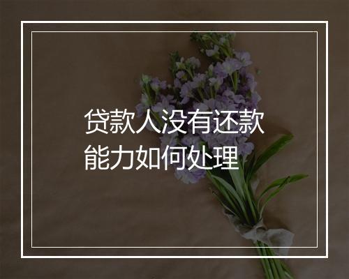 贷款人没有还款能力如何处理