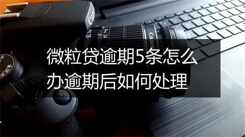 微粒贷逾期5条怎么办逾期后如何处理