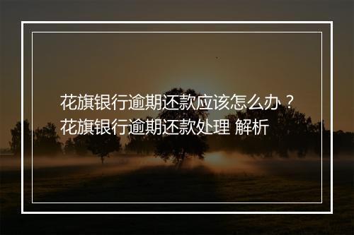 花旗银行逾期还款应该怎么办？花旗银行逾期还款处理 解析