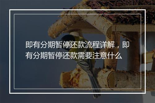 即有分期暂停还款流程详解，即有分期暂停还款需要注意什么