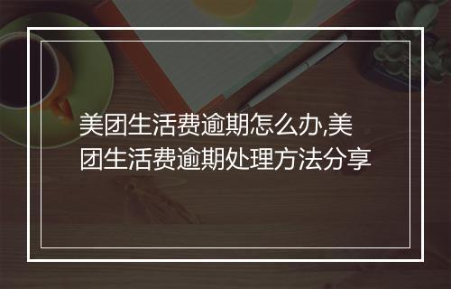 美团生活费逾期怎么办,美团生活费逾期处理方法分享