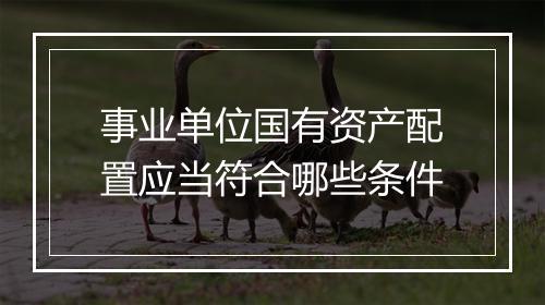事业单位国有资产配置应当符合哪些条件