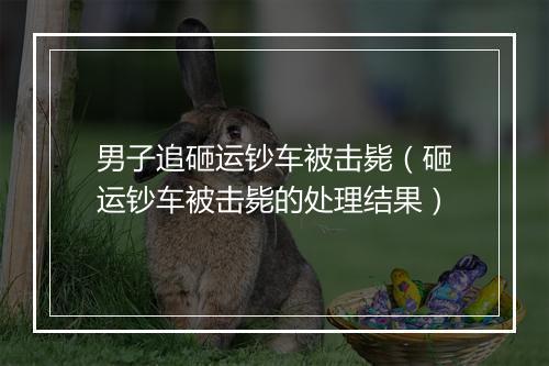 男子追砸运钞车被击毙（砸运钞车被击毙的处理结果）
