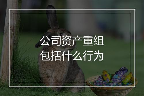 公司资产重组包括什么行为