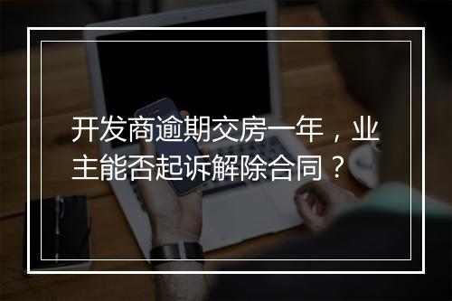 开发商逾期交房一年，业主能否起诉解除合同？