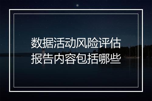 数据活动风险评估报告内容包括哪些
