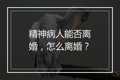 精神病人能否离婚，怎么离婚？