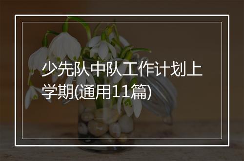 少先队中队工作计划上学期(通用11篇)