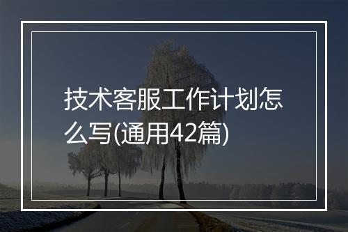 技术客服工作计划怎么写(通用42篇)