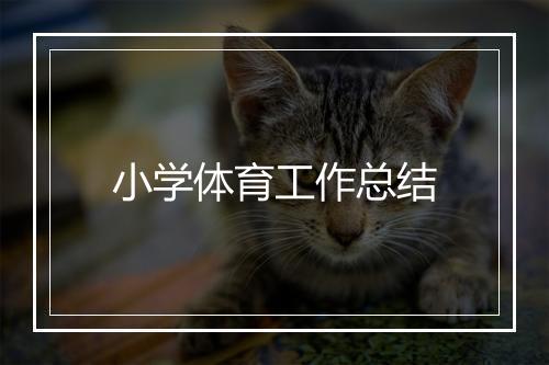 小学体育工作总结