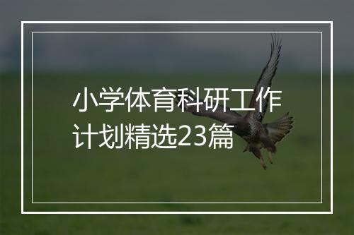 小学体育科研工作计划精选23篇