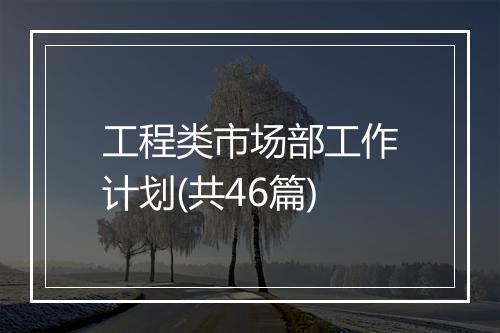 工程类市场部工作计划(共46篇)