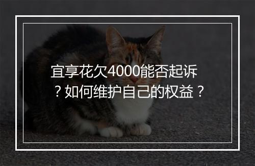 宜享花欠4000能否起诉？如何维护自己的权益？