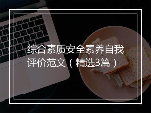 综合素质安全素养自我评价范文（精选3篇）