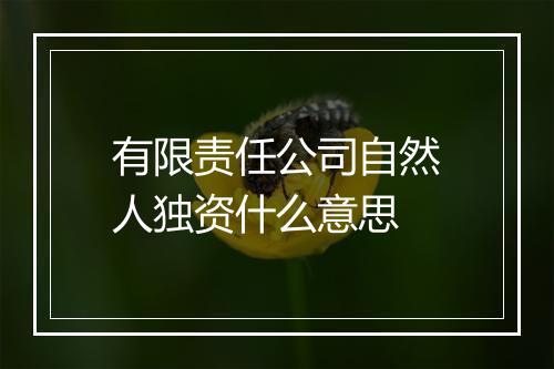 有限责任公司自然人独资什么意思