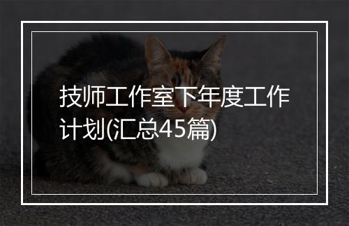 技师工作室下年度工作计划(汇总45篇)