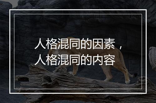 人格混同的因素，人格混同的内容