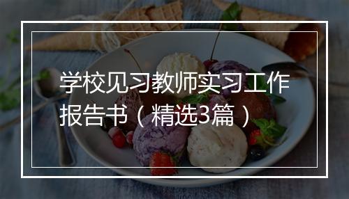 学校见习教师实习工作报告书（精选3篇）