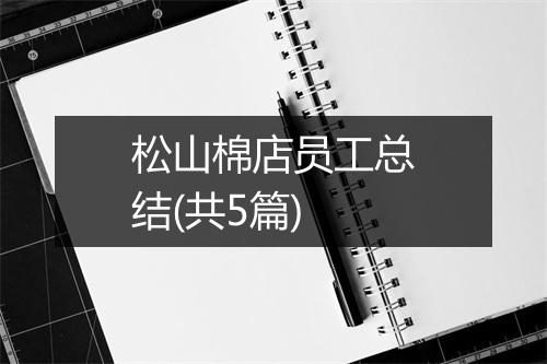 松山棉店员工总结(共5篇)