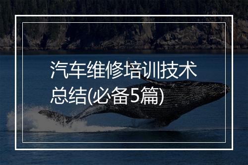 汽车维修培训技术总结(必备5篇)