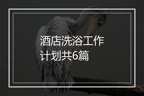 酒店洗浴工作计划共6篇
