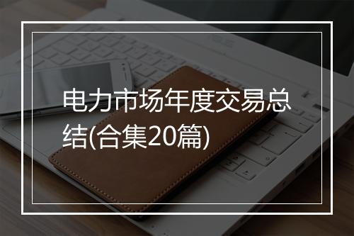 电力市场年度交易总结(合集20篇)