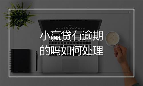 小赢贷有逾期的吗如何处理