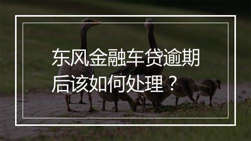 东风金融车贷逾期后该如何处理？