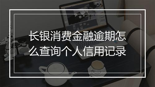 长银消费金融逾期怎么查询个人信用记录