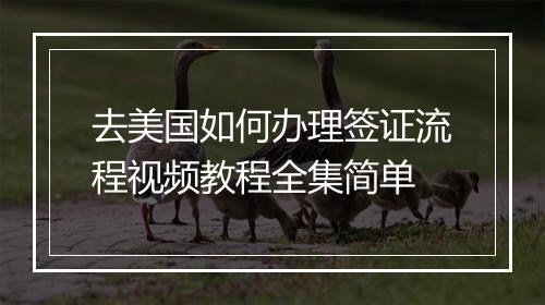 去美国如何办理签证流程视频教程全集简单