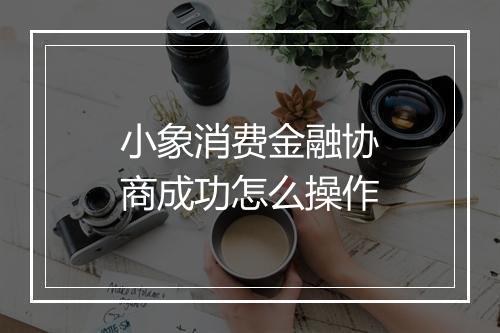小象消费金融协商成功怎么操作