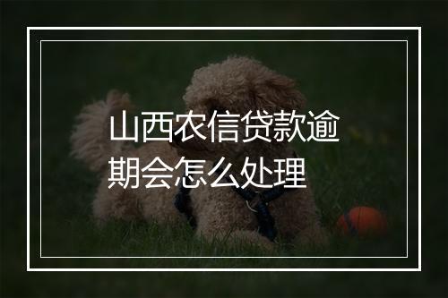 山西农信贷款逾期会怎么处理