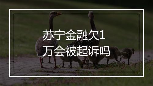 苏宁金融欠1万会被起诉吗