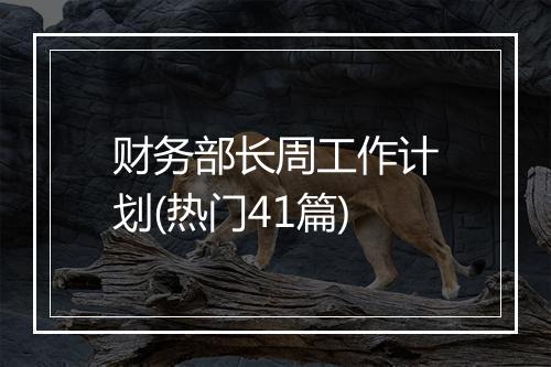 财务部长周工作计划(热门41篇)