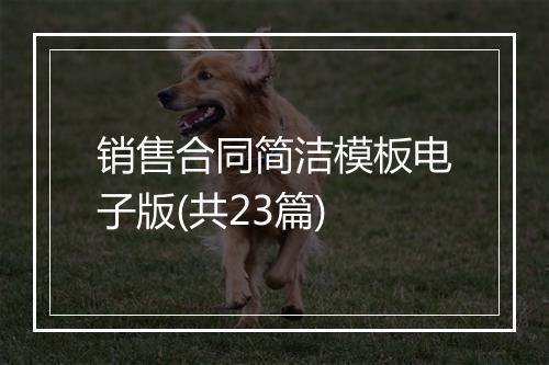 销售合同简洁模板电子版(共23篇)