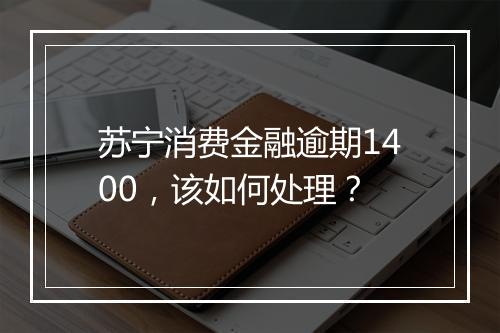 苏宁消费金融逾期1400，该如何处理？