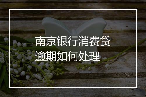 南京银行消费贷逾期如何处理