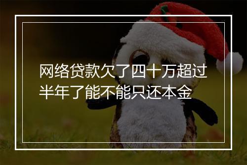 网络贷款欠了四十万超过半年了能不能只还本金