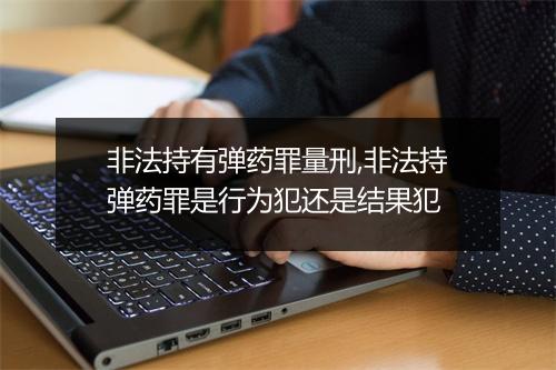 非法持有弹药罪量刑,非法持弹药罪是行为犯还是结果犯