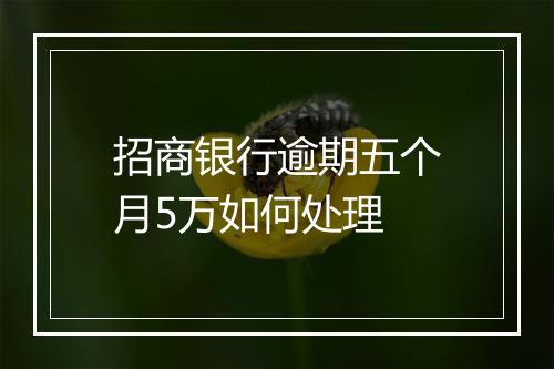 招商银行逾期五个月5万如何处理