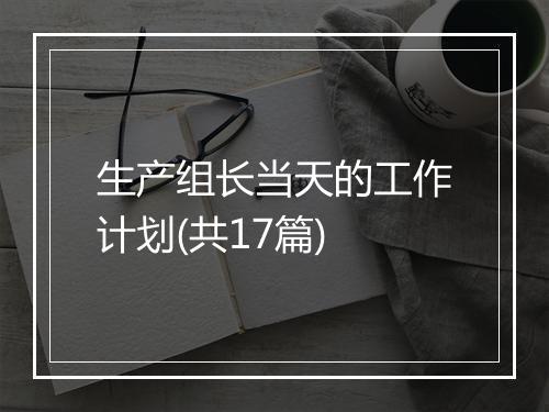 生产组长当天的工作计划(共17篇)