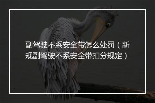 副驾驶不系安全带怎么处罚（新规副驾驶不系安全带扣分规定）